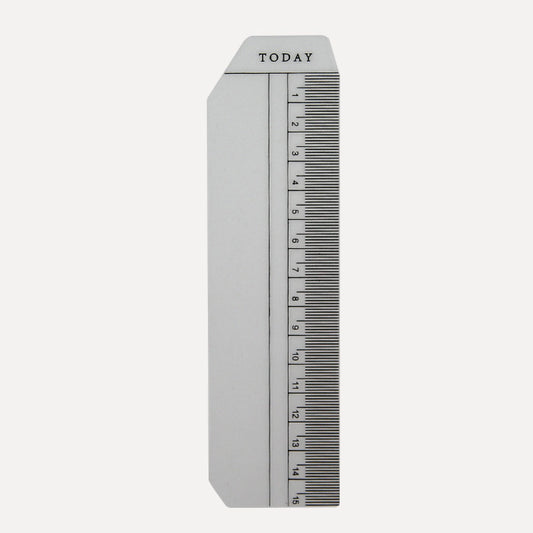 Today Tab | Frosted | 15cm Ruler | Discbound